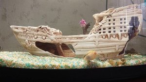 Сомики, улитки, аквариум.