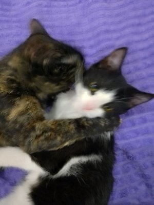 ПОДПИШИСЬ!!!