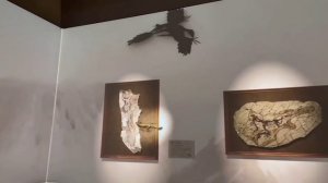 В китайском музее сделали реалистичные 3D модели динозавров.