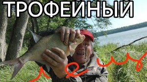 Рыбалка на Соску -Пружину , Любимицу карася. Лето 2025 г