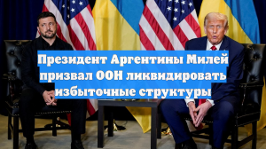 Президент Аргентины Милей призвал ООН ликвидировать избыточные структуры