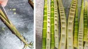 Маринованный бамбук