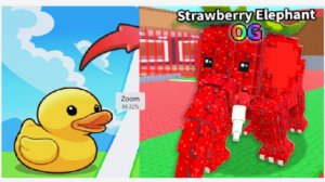 До обновы эволюция утки и укради брейнрот в роблоксе