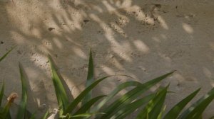 Фабрика уличной мебели FAST