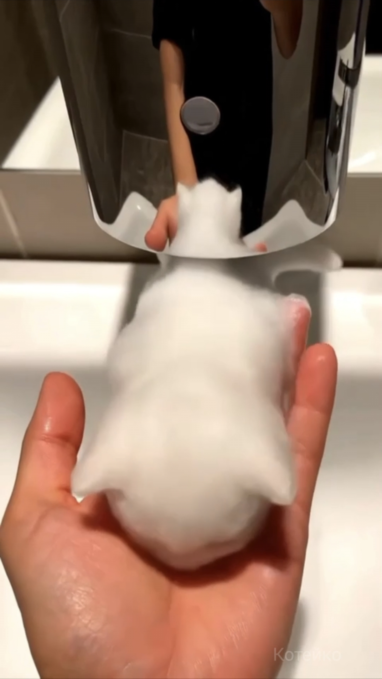 Жидкое кото мыло 😺