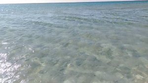 Черное море. Тарханкут (сентябрь 2025)