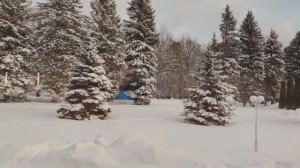 ЗОЛОТО НАЦИИ 2024