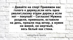 Отличная Подборка Анекдотов! Лучшие Весёлые АНЕКДОТЫ для Настроения! Выпуск 20