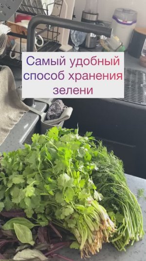 Самый удобный способ хранения зелени