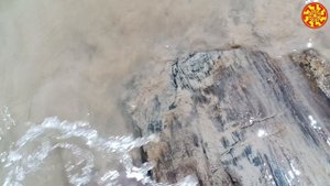 ПУникальный образец окаменелого дерева 
🔥🔥🔥