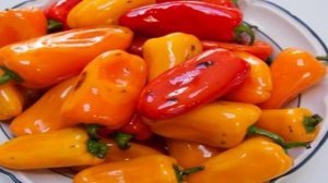 Маринованный перец без закатки