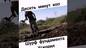 Шурф прим поиск.