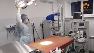 Видео-визитка специалиста ветеринарной клиники