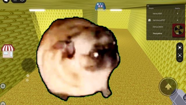 я стал оииаи