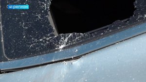 ЖИТЕЛЬ ПЕТРОПАВЛОВСКА ЧУДОМ СПАССЯ ОТ НАПАДЕНИЯ МЕДВЕДЯ • ПРЯМАЯ РЕЧЬ