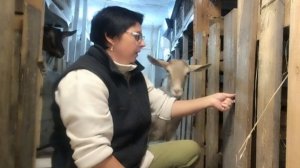 25-09-2025 Ругаю грузчиков / продажи идут / на улице уже темно, а я работаю.