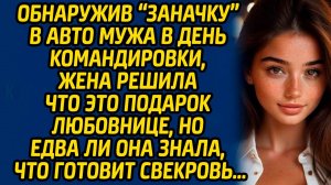 Обнаружив «заначку» в авто мужа в день командировки, жена решила что это подарок любовнице, но едва.