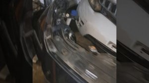 1000302395.mp4 bm ноускат