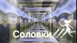 Соловки!!!