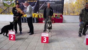 17 Национальная монопородная выставка восточносибирских лаек! Фото