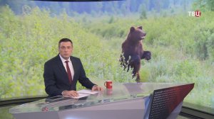 "Встал сзади и стал раскачивать": подробности смертельного нападения медведя на Камчатке