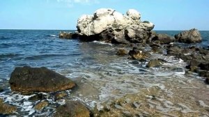 Единое на потребу-2