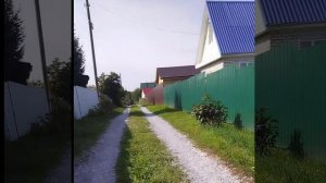 песня жизненная