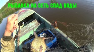 Рыбалка на сеть, спад воды