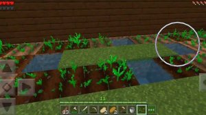 играем в Minecraft обзоры строим огород чек