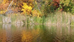 biluta light пвд р. Хопер. осень 2025