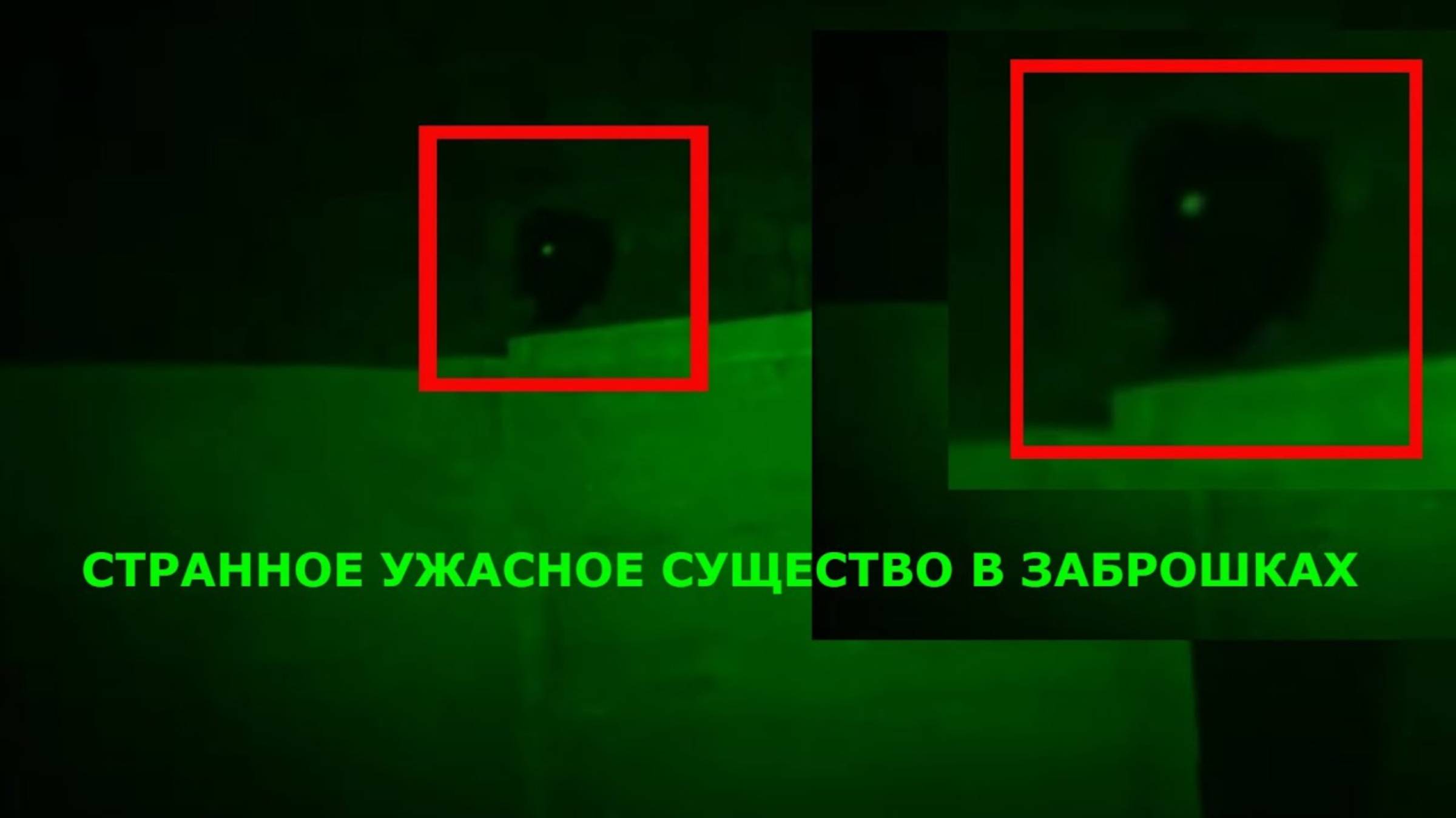 Странное существо попал в кадр видео там заброшенном доме жутком смотреть онлайн