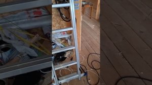 1000035360.mp4 (Собака смотрит на монтаж электропроводки в доме А-фрейм)