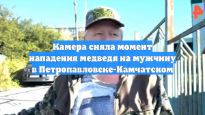 Камера сняла момент нападения медведя на мужчину в Петропавловске-Камчатском