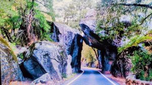 773.Радиоэмма. Благотворная стоическая апатия.