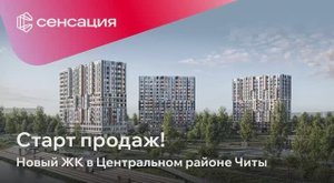Сенсация в Чите!