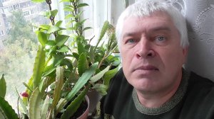 Геннадий Горин. Видео про плод на кактусе, лесной кактус эпифиллум