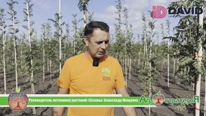 Отзыв. Приствольной фреза "Малышок". Питомник растений "Сезоны" (15.09.2025)