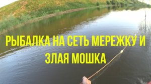 Рыбалка на сеть мережку и злая мошка