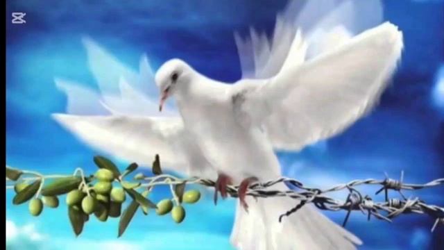 Информационная мастурбация и самый Великий Пост #дары #ДухСвятой #библия #твёрдаяпища