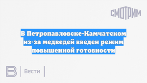 В Петропавловске-Камчатском из-за медведей введен режим повышенной готовности