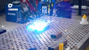 Земля Приморская / Профи своего дела / 27.09.25