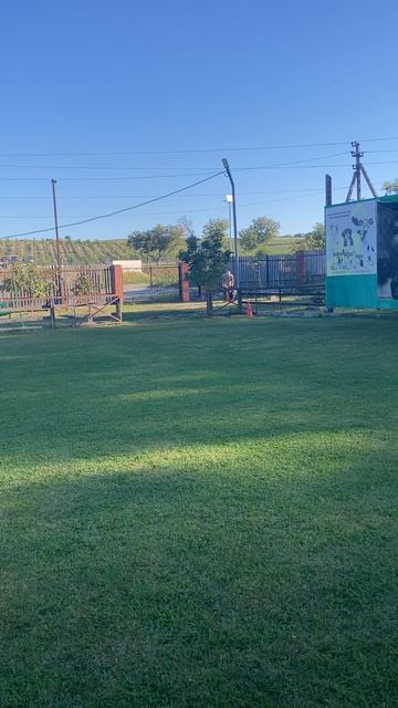 4.  выражено/пож ART RAEN*S ABIGEL (Сантлаурис Эгон – Kalashnikhof Sheron)