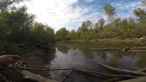 ВОЛКЕРАЛЬНЯ В СЕНТЯБРЕ