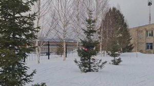 ДЮСШ. Визитная карточка