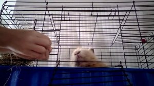 обзор на дом❤️