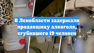 В Ленобласти задержали продавщицу алкоголя, сгубившего 19 человек