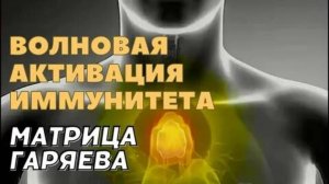 Матрица Горяева для активации иммунитета.