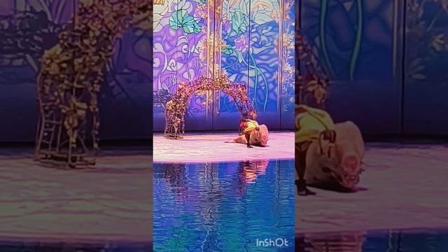 Москвариум. 10.08.25.