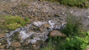 Изборск, небольшое поселение, знаменитое старинной Крепостью!)