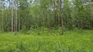 Земельный участок по адресу: МО,  г. Электросталь, Ногинское шоссе